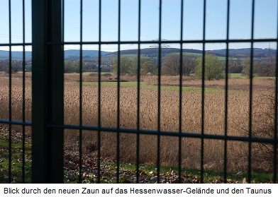 Blick durch den neuen Zaun auf das Hessenwasser-Gelände und den Taunus