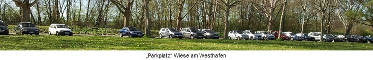 „Parkplatz“ Wiese am Westhafen